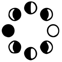 ALIGN: Moon Phases & Feminine Energy