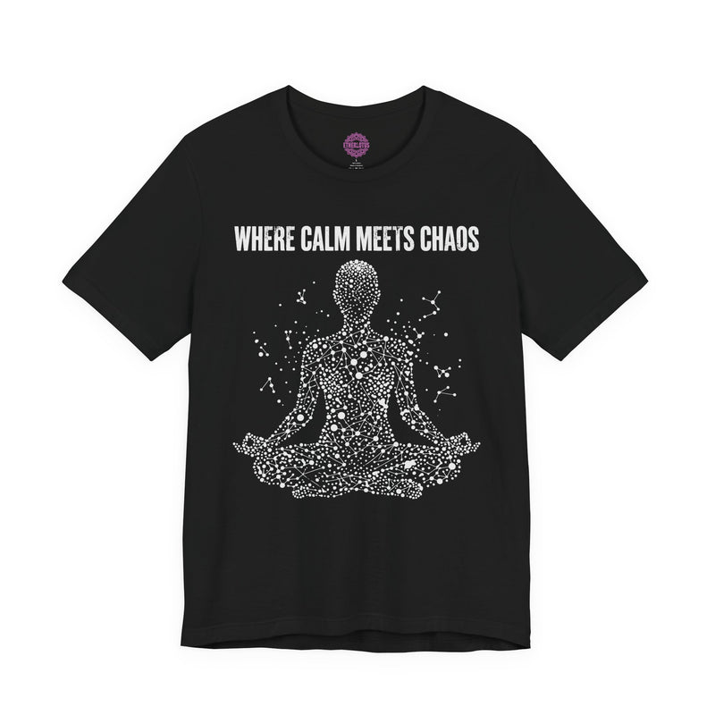 Where Calm Meets Chaos Premium Unisex T-Shirt