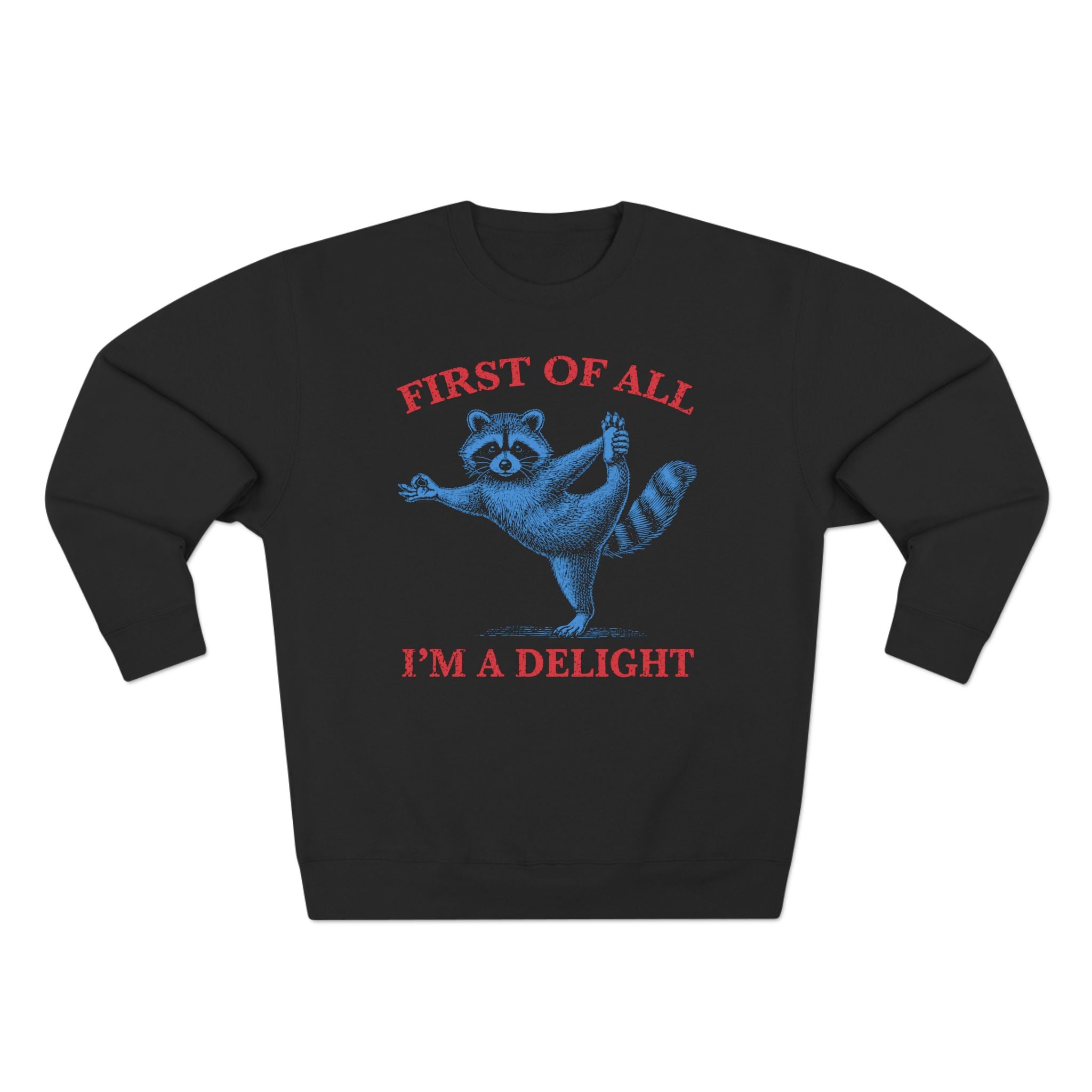 First of All I'm a Delight Raccoon Yoga Spiritual Humor Premium Unisex Sweatshirt