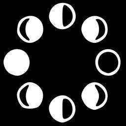 ALIGN: Moon Phases & Feminine Energy