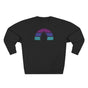 Third Eye Pinecone Retro Sunset Premium Unisex Sweatshirt